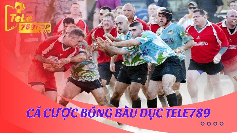 Cá cược Bóng Bầu Dục Tele789 là gì? Hướng dẫn chi tiết chơi đơn giản 6 Cá cược Bóng Bầu Dục Tele789 được nhiều bet thủ yêu thích