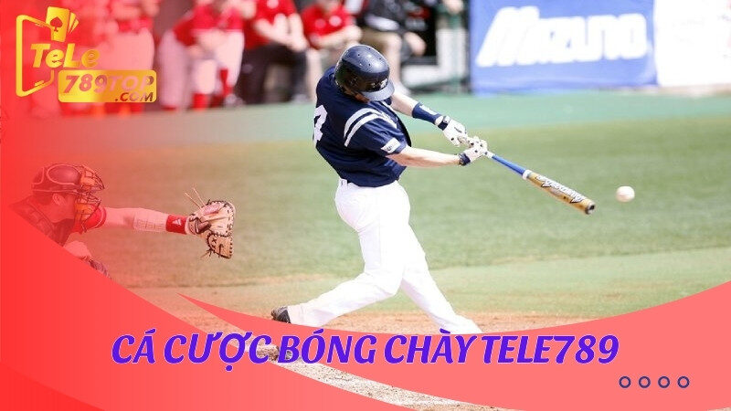 Cách cá cược bóng chày Tele789 hiệu quả dễ thắng nhất 5 Cá cược bóng chày Tele789 là gì?
