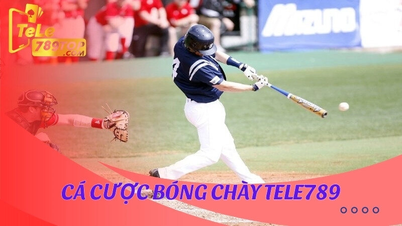 Cá cược bóng chày Tele789 là gì?