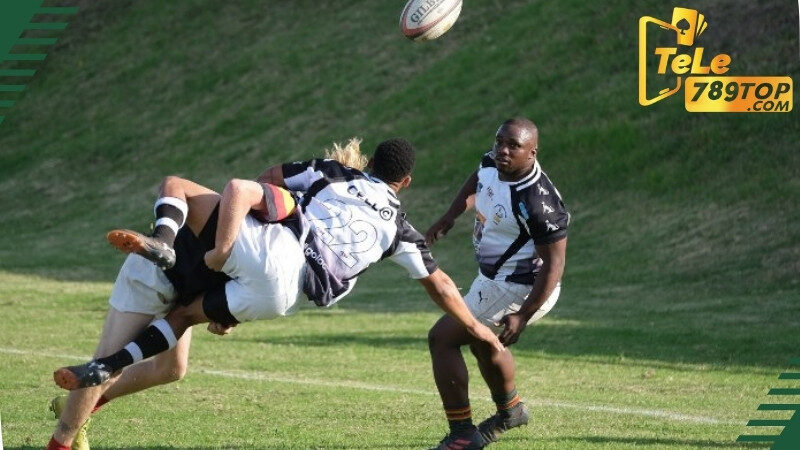 Cá cược Bóng Bầu Dục Tele789 là gì? Hướng dẫn chi tiết chơi đơn giản 8 Quy tắc cá cược Bóng Bầu Dục Tele789