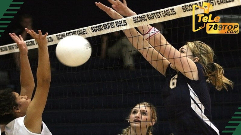 Cá cược bóng chuyền Tele789 hấp dẫn, dễ thắng lớn 6 Tìm hiểu về luật chơi cá độ bóng chuyền tại nhà cái Tele789